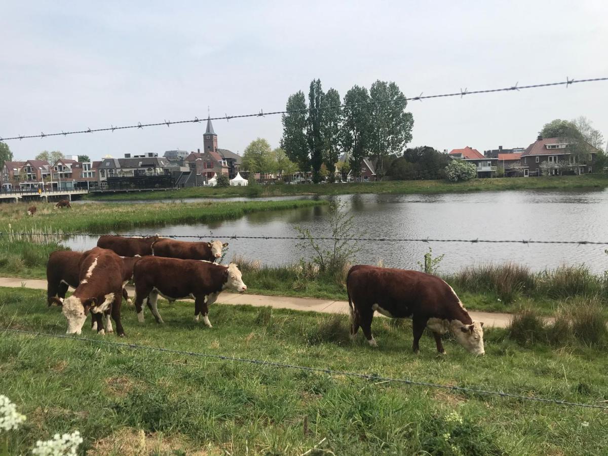 B&B Tussen Vecht En Veer هاردنبيرخ المظهر الخارجي الصورة